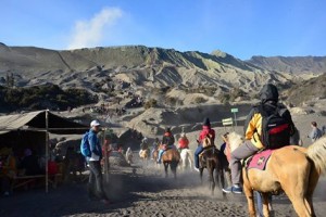 Mount Semeru Trekking – Bromo Tour- Ijen Blue Fire 6 Days 5 Nights