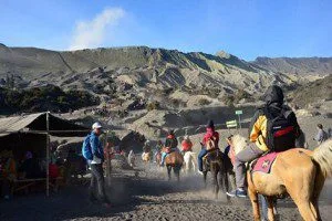 Mount Semeru Trekking – Bromo Tour- Ijen Blue Fire 6 Days 5 Nights Mount Semeru Trekking – Bromo Tour- Ijen Blue Fire 6 Days 5 Nights