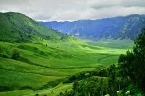 Teletubies Savanna of Mount Bromo Teletubies Savanna of Mount Bromo