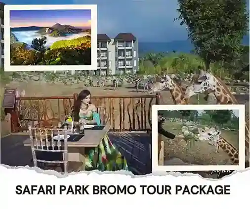 Safari Park Bromo Tour Package 3 Days Safari Park Bromo Tour Package 3 Days